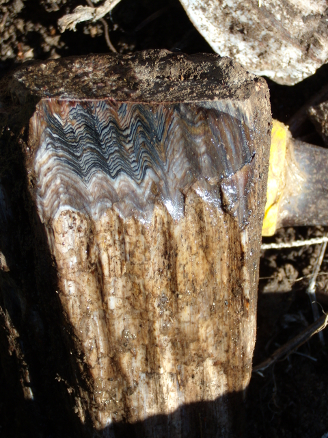 Very nice herringbone pattern.