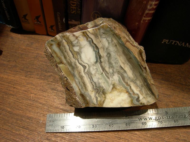 2007.10.27_1.JPG - Crazy Lace Tahoma Agate